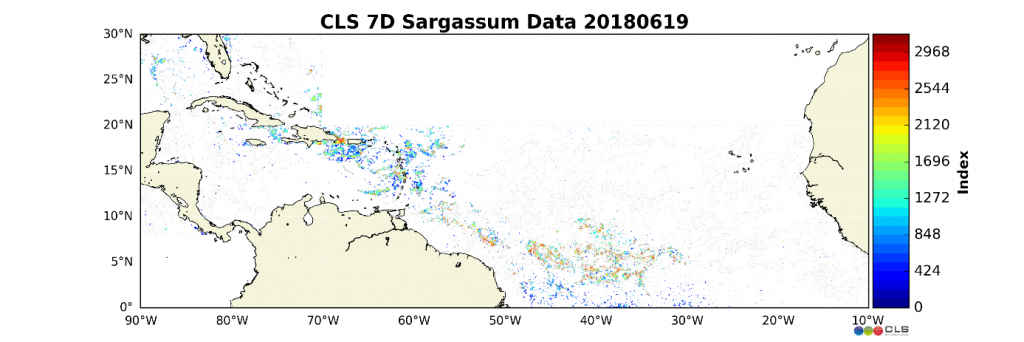 Sargassum index